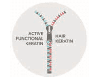 Bio active keratin