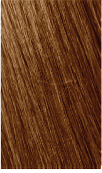 bhave 360 6-45 Creations - Dark Copper Mahogany Blonde 100ml 6-45 bhave 360 6-45 Creations - Dark Copper Mahogany Blonde 100ml 6-45