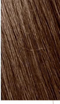 Mowan Megix|10 6-0 BIONDO SCURO Mowan Megix|10 6-0 BIONDO SCURO