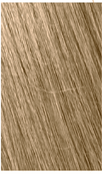 Mowan Megix|10 8-0 BIONDO CHIARO Mowan Megix|10 8-0 BIONDO CHIARO
